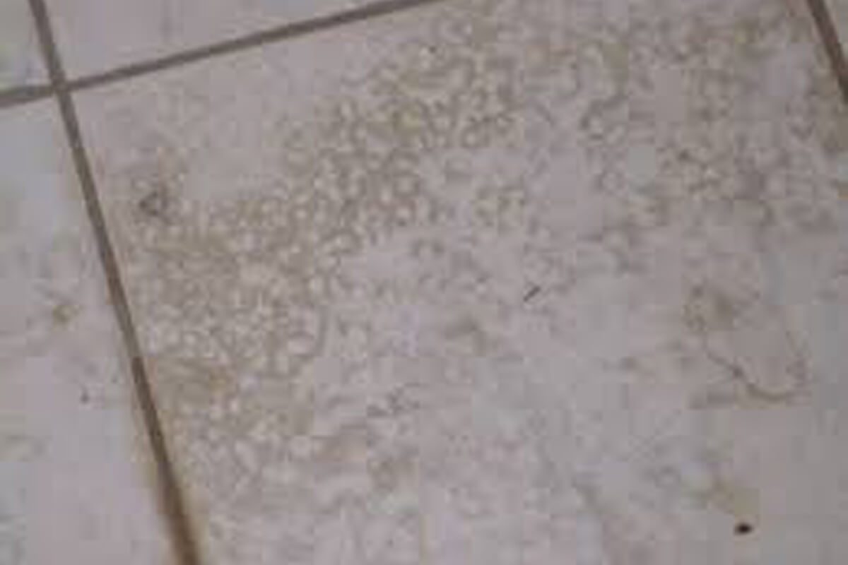 浴室地板水垢